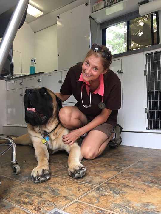 About | Mobile Veterinarian in Cumberland, ME | The Pets Mobile Vet